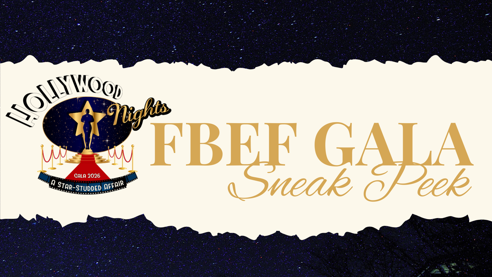  Gala Auction Sneak Peek 26